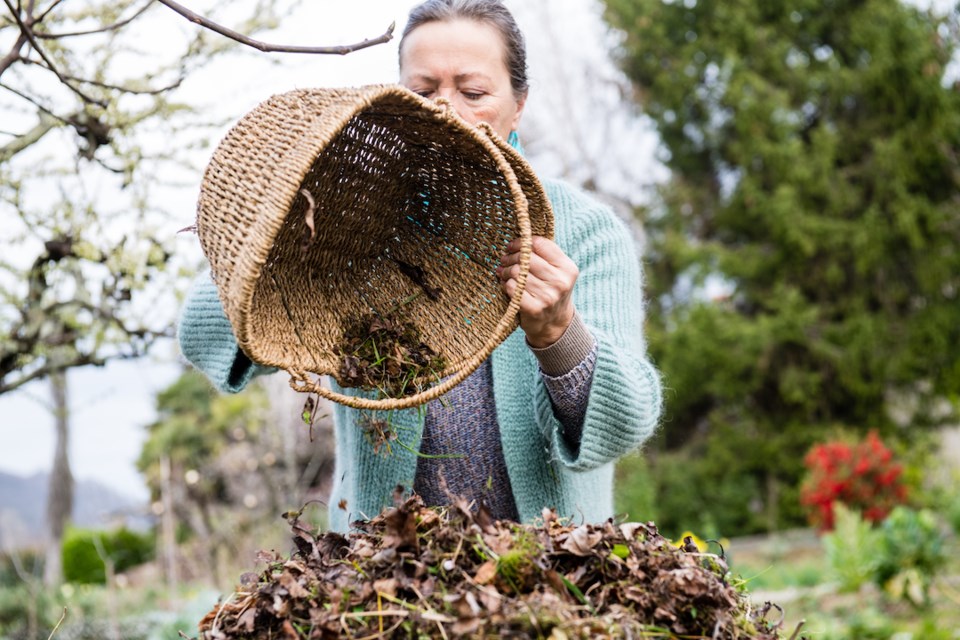 Senior woman with long hair composting leaves in the flower and vegetable garden in last days of winter, the Mediterranean region in Slovenia, Europe.