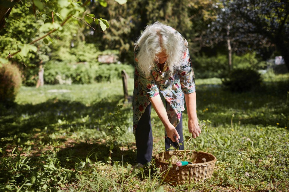 Woman doing garden cleanup