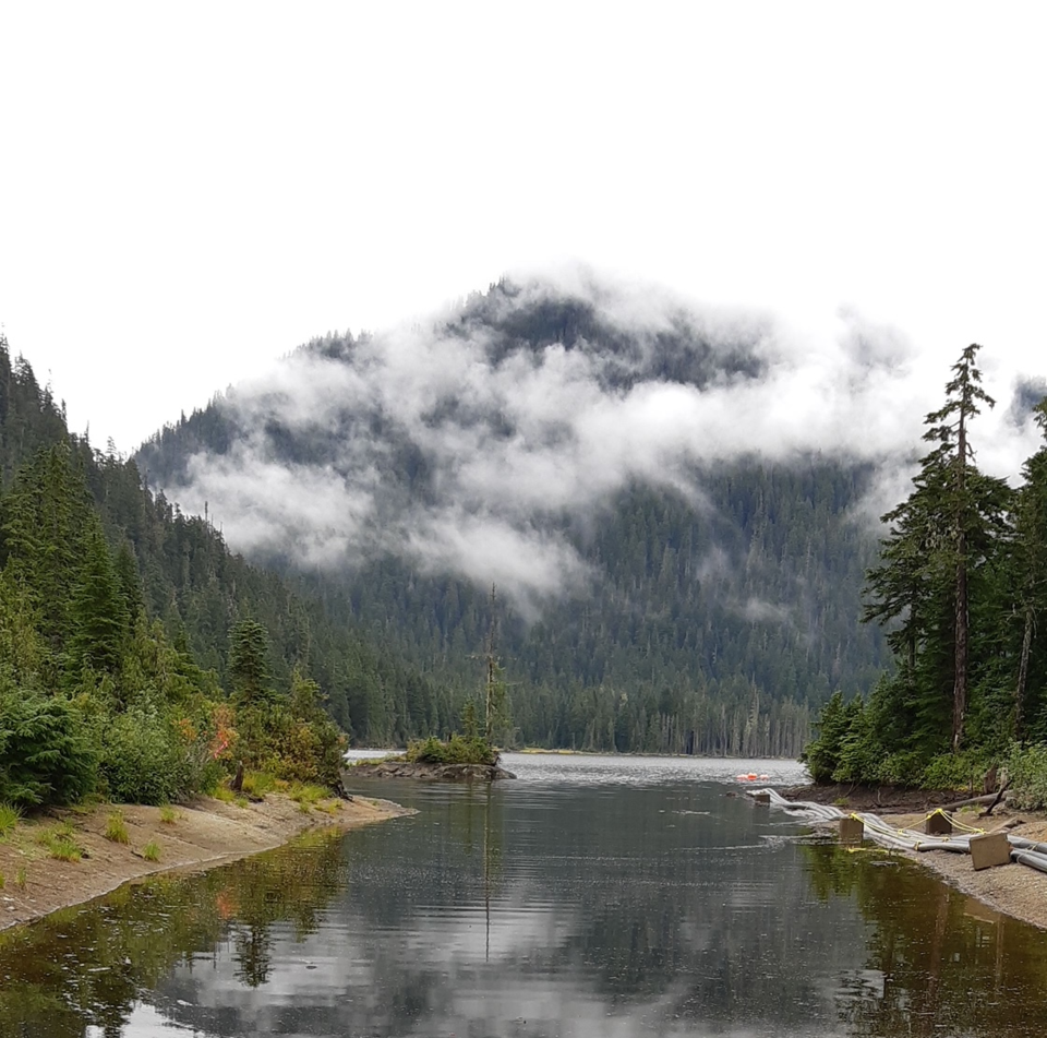 Chapman Lake 