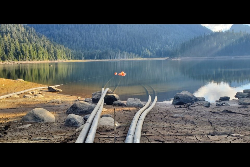 Siphons in Chapman Lake during summer 2022.