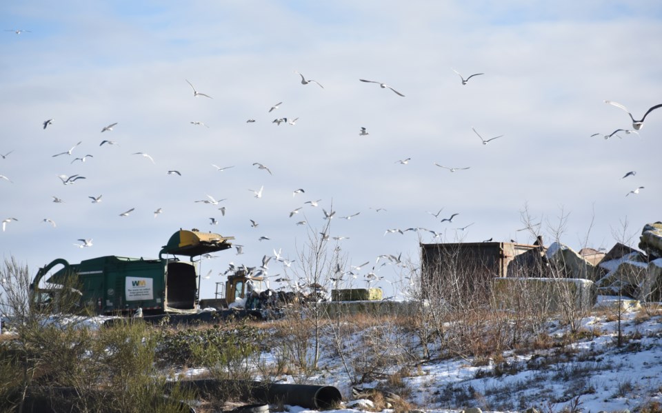 Sechelt Landfill