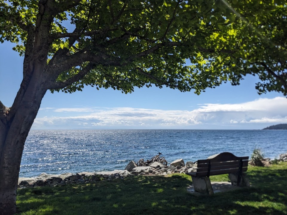 a-bench-overlooking-the-water