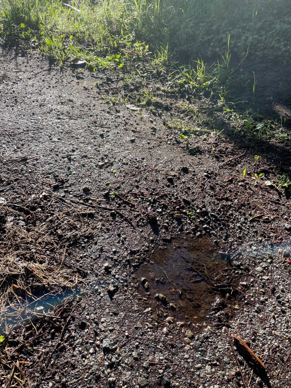 pothole-with-rainwater