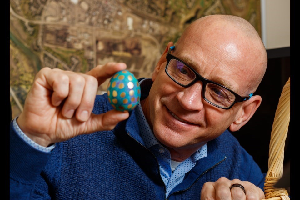Mayor Jeff Genung inspects freshly harvested Easer eggs in his office at the Cochrane Ranche House on Friday (March 26). The Town partnered with the Easter Bunny in a unique pilot project to help grow Easter eggs. (Chelsea Kemp/The Cochrane Eagle)