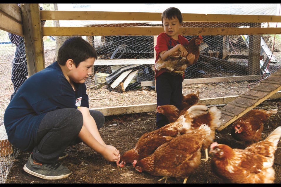 John Eddison, 10, left, and Tweet Powder, 4, check on their chicken on Wednesday (May 26) in Stoney Nakoda First Nation. (Chelsea Kemp/The Cochrane Eagle)