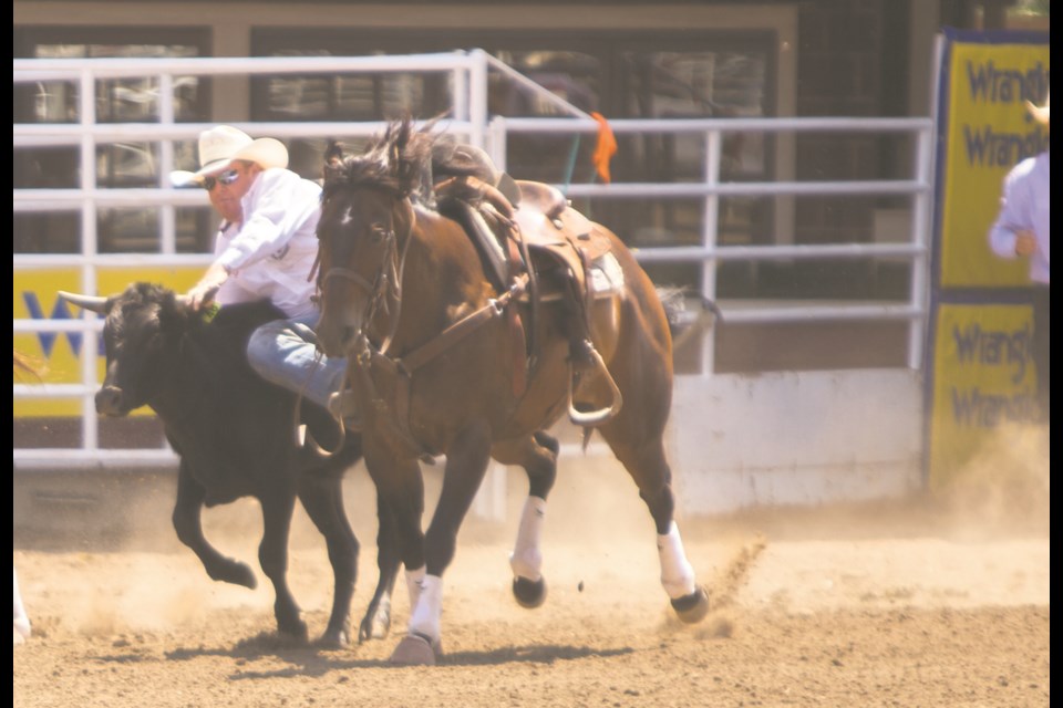 Cochrane based steer wrestler Tanner Milan competes at the Calgary Stampede on Monday (July 12). (Chelsea Kemp/The Cochrane Eagle)