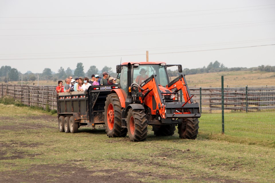 A tractor pulls a trailer full of people coming back from a tour out to pasture at Glengary Bison for Open Farm Days on Saturday (Aug. 14). (Jessica Lee/The Cochrane Eagle)