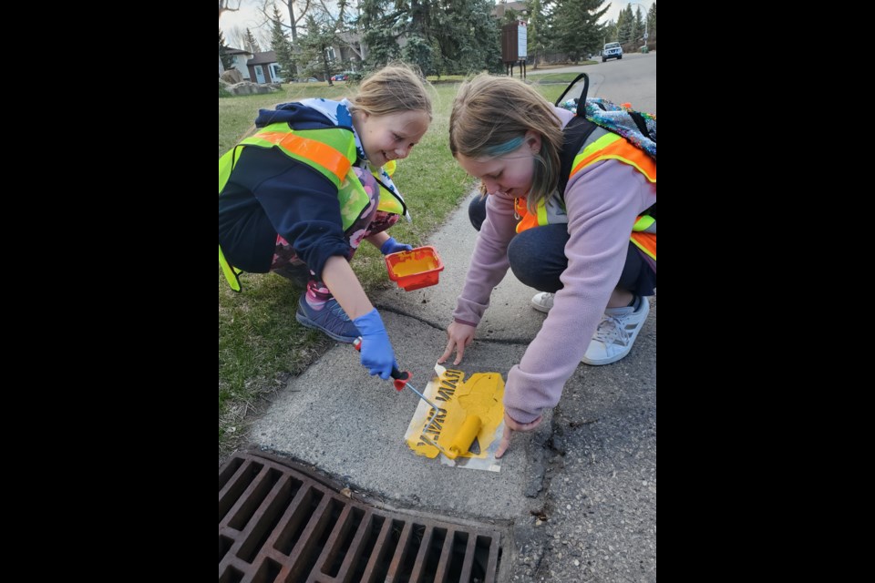 Mia Davies and Scarlett Baptist painting fish images near storm drains in Glenbow.