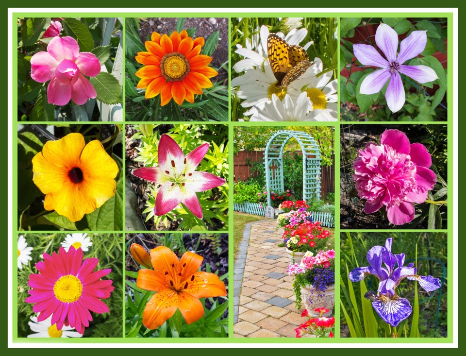 COLUMN_WARREN_Collage-CWW220106-MA-Garden-e11-7x5q-frm