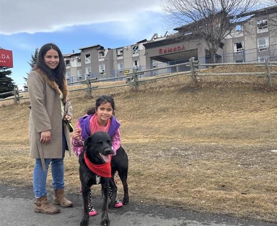 dog park