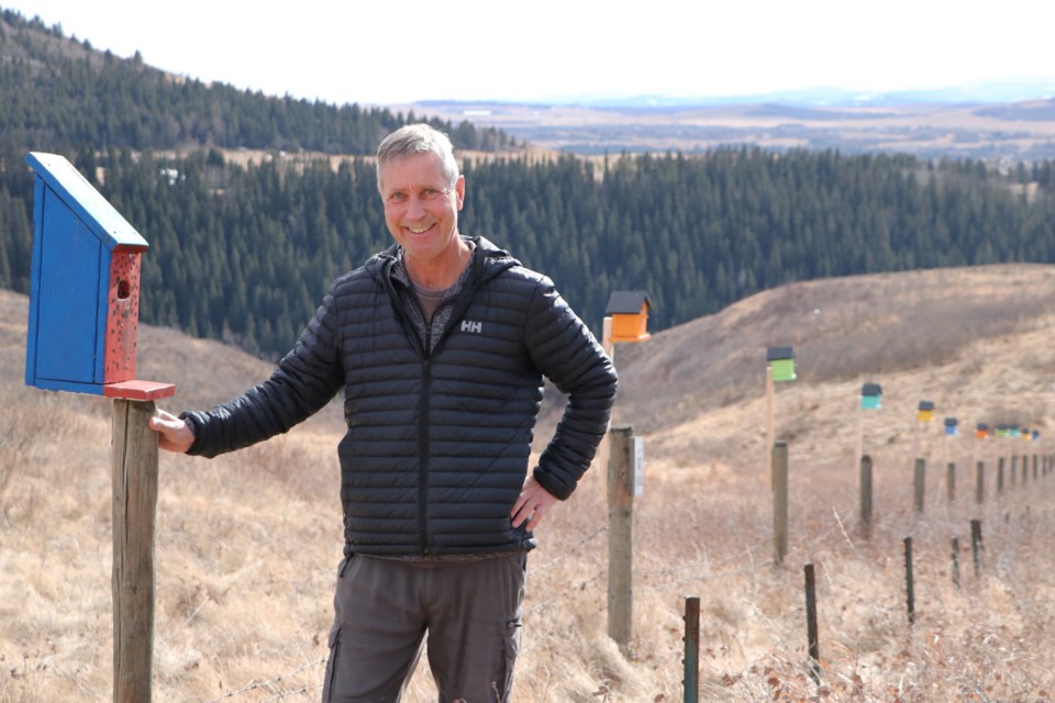 Gerard Young, a resident who lives in Sunset Ridge, was pleased to learn the birdhouses he built, painted and put up along a boundary fence line constructed by Melcor Developments near his home will not need to be moved. (Jessica Lee/The Cochrane Eagle)