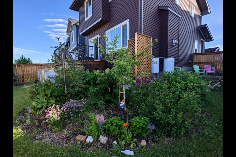 Callandra Caulfield's backyard after a recent makeover