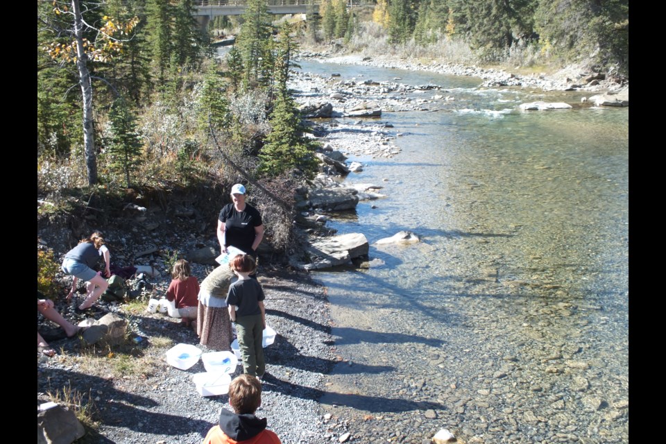 The Ghost Watershed Alliance Society taught kids about stoneflies and mayflies on the Waiparous Creek. Cows and Fish hosted the event.