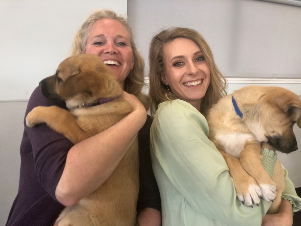 4blondes