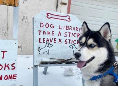 dog2jpg