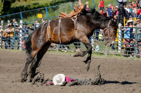 The cowboys will be rolling in the dirt at the 56th Cochrane Lions Rodeo on the Labour Day weekend.