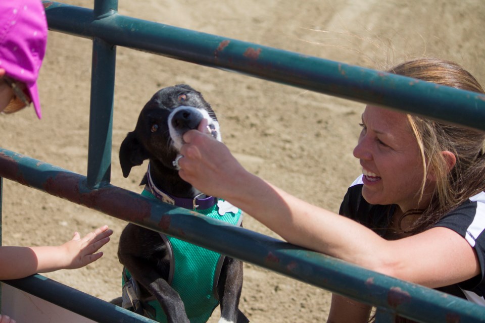 Pet lovers and families around Cochrane visited the Cochrane and District Agricultural Society Park for a pet-centric celebration at the Cochrane Pet Expo on May 27.