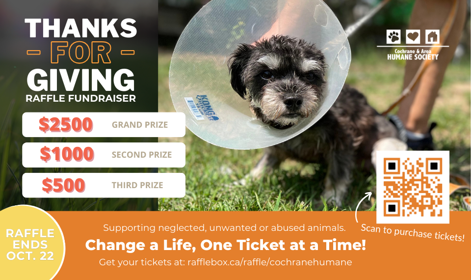 raffle-graphic