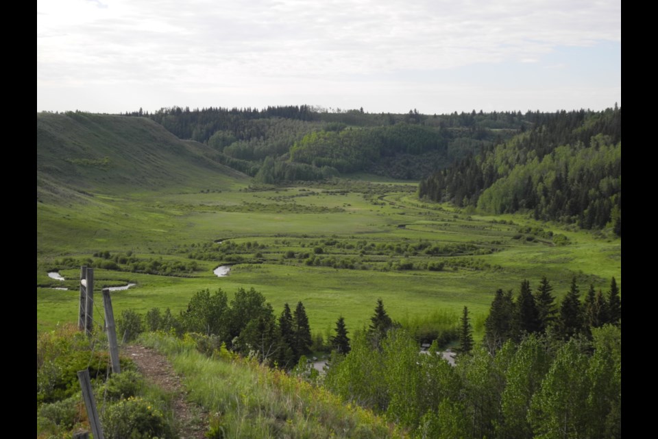 Bighill Creek valley is located just northeast of Cochrane.