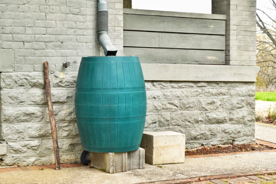 thumbnail_green-plastic-rain-catcher-barrel-to-catch-and-con-2022-11-02-17-37-43-utc