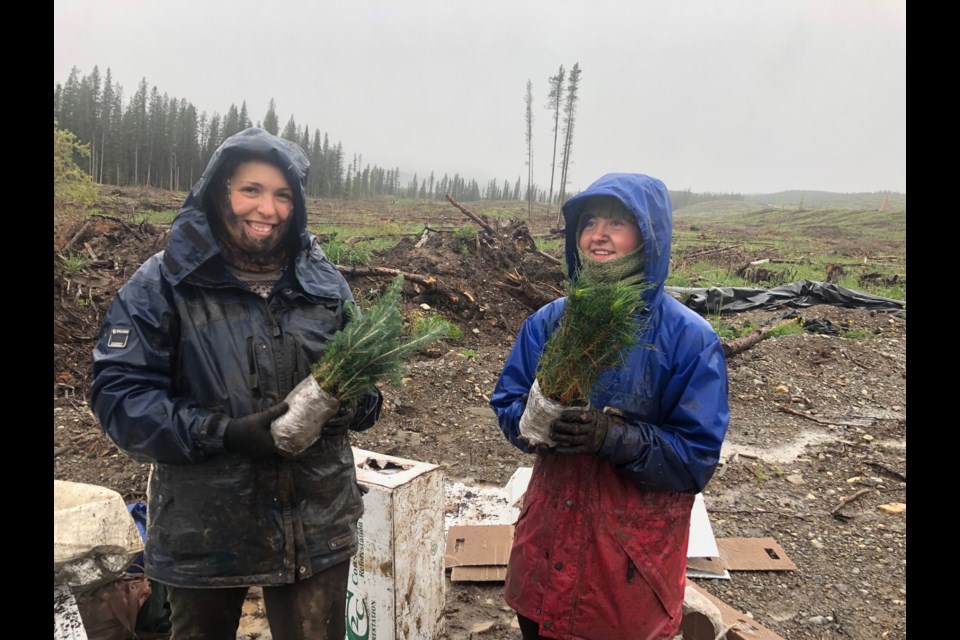 Neither rain, nor snow, nor sogginess keeps the tree planters from their appointed rounds.