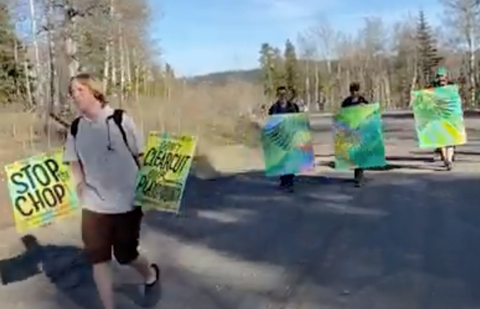 clear-cut-protest