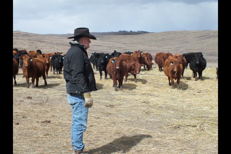 John Copithorne's family has been raising cattle in this area for nearly 140 years.