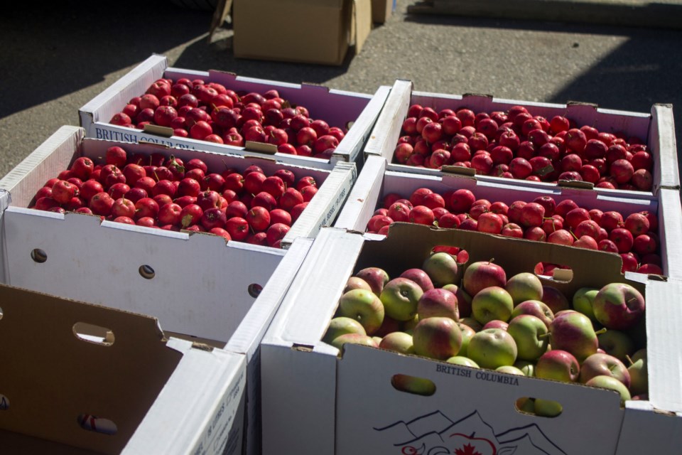 Residents donated freshly fallen and picked fruit to help support local food banks and the Cochrane Ecological institute at the recent Community Tree Fruit Round-Up on Sept. 28.