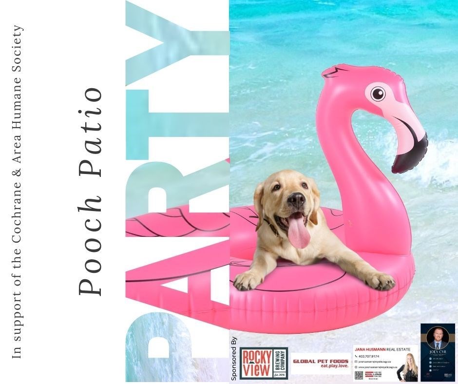 ln-pooch-patio