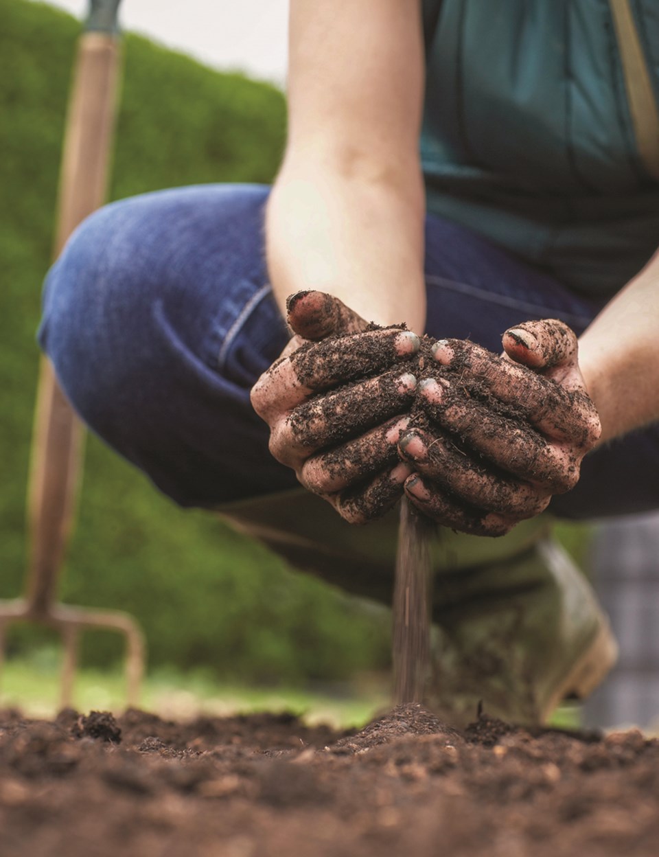 planting