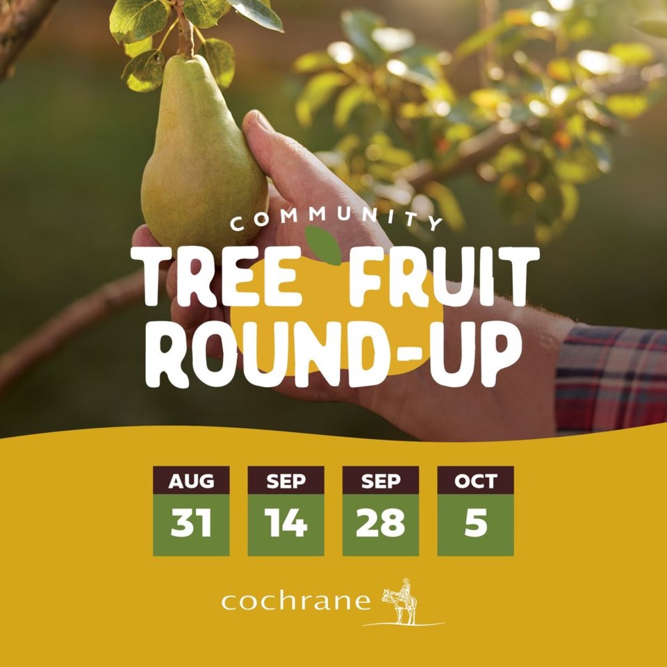 tree-fruit-roundup