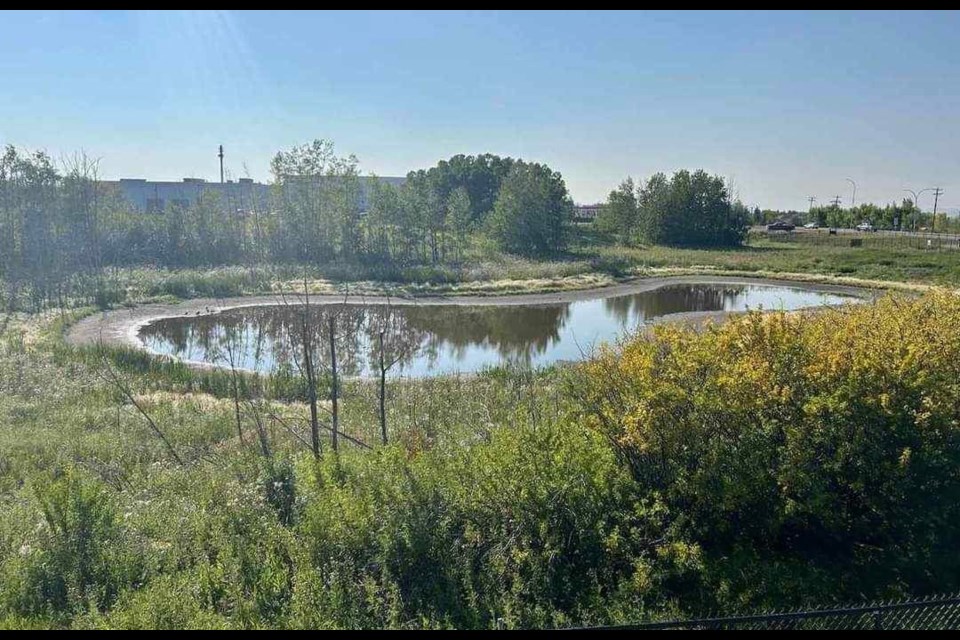 Willows residents are trying to protect a pond in their neighbourhood
