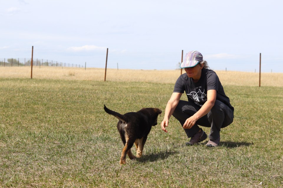 CAHS_Off Leash Park