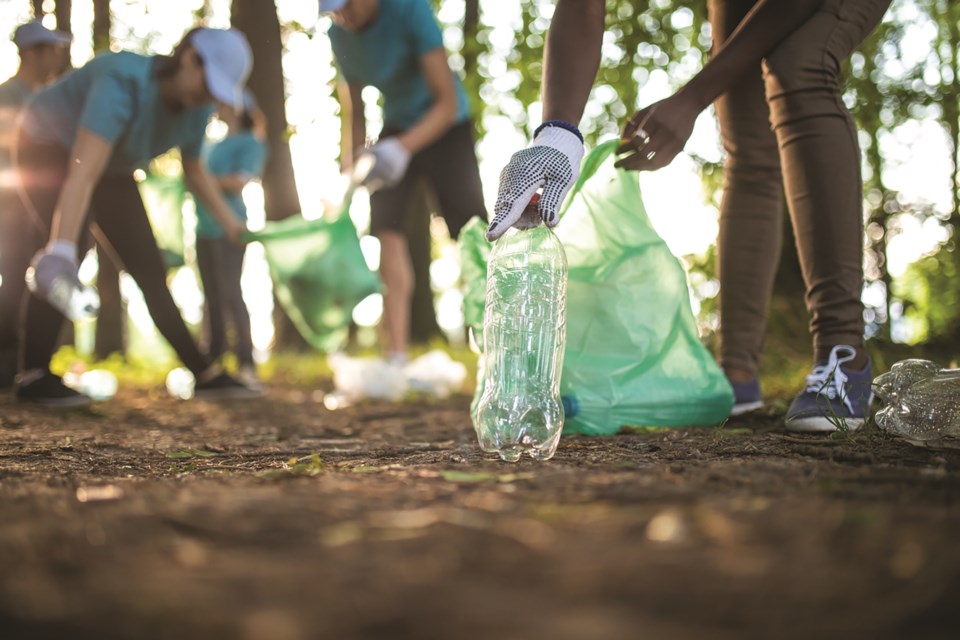 park-clean-up