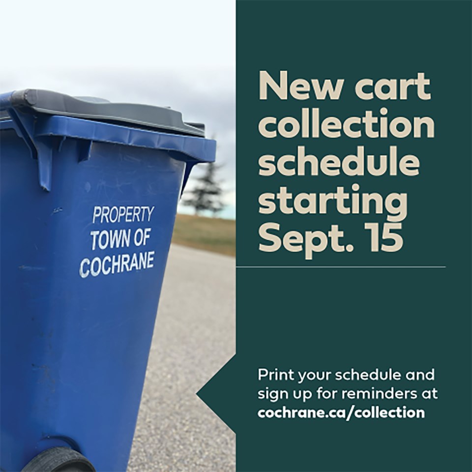 waste-collection_update