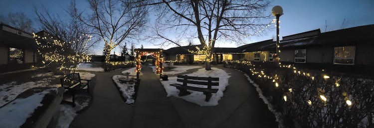 Cochrane Lights of Joy horizontal