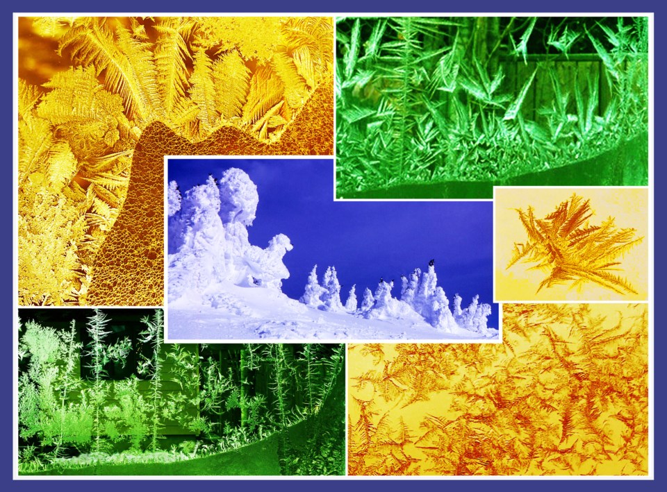 Collage-cww-200116-winterwonderland-v2-e11-8hx6qe-frm