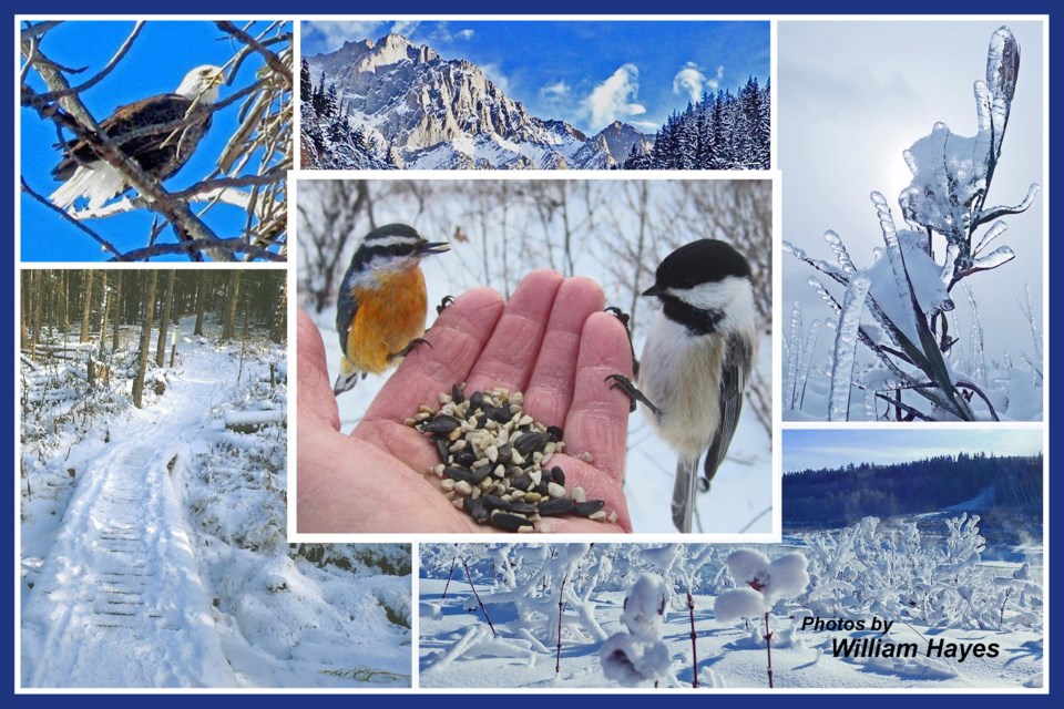 collage-cww231221-hayeswinter-v3-e11-8hx5h-frm