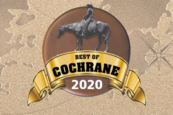 Best-of-Cochrane-image 2020 560