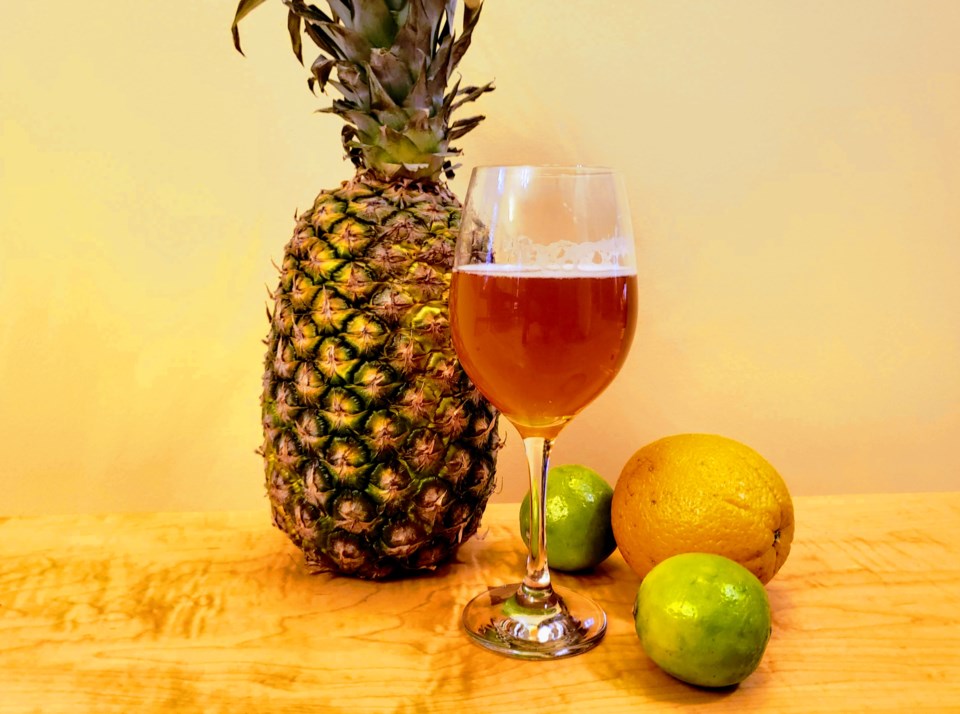 fruit beer