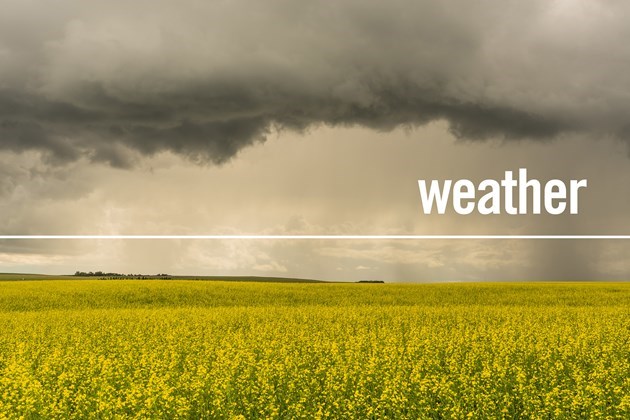 weather graphic