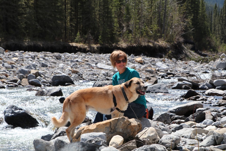 Debra-Manastyrski-spending-time-with-Tiquana-while-he-waits-to-be-adopted