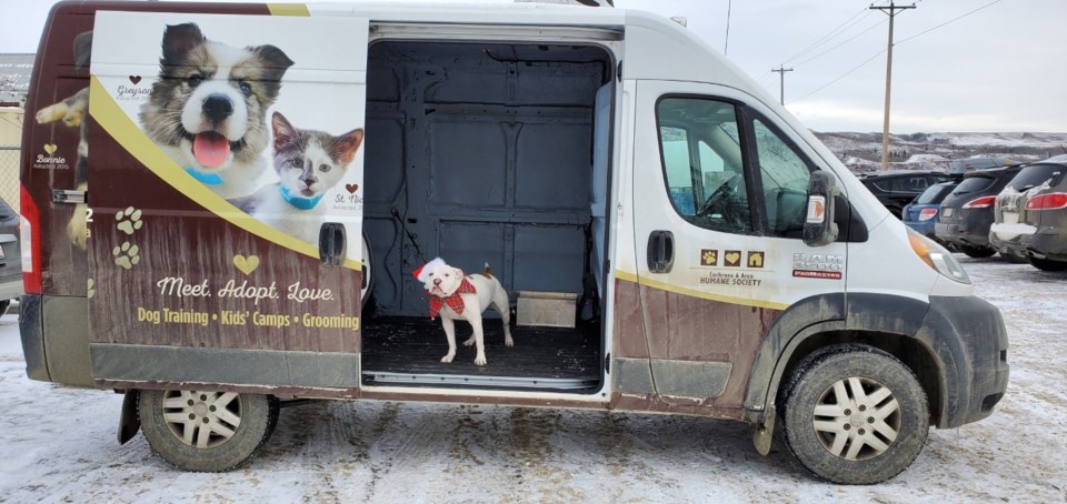 Christmas Party And Open House With Cochrane And Area Humane