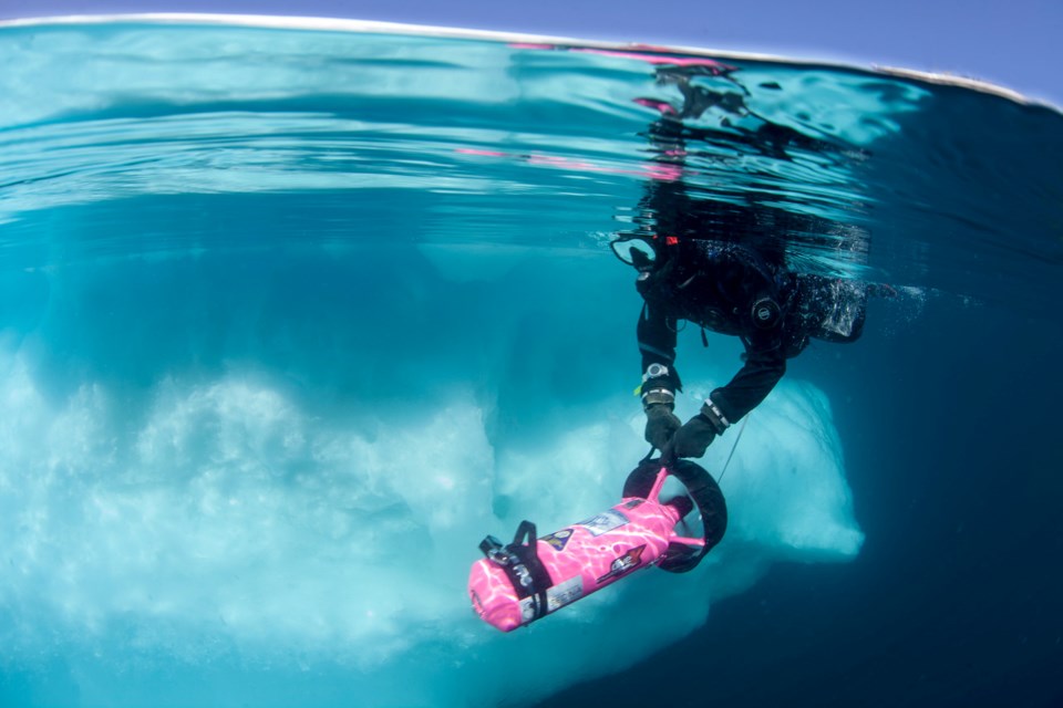 Susan R. Eaton snorkels in pack ice off Torngat Mountains National Park, Labrador. 