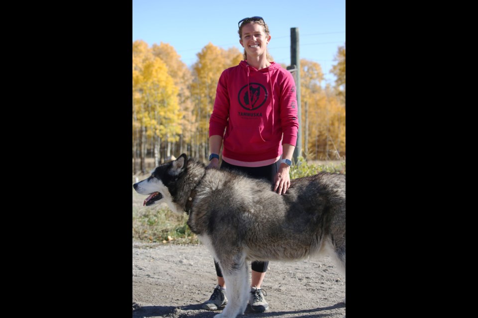 Georgina De Caigny, executive director of the Yamnuska Wolfdog Sanctuary, poses with the dog responsible for greeting the guests of the facility, Skookum. (Tyler Klinkhammer/The Cochrane Eagle)