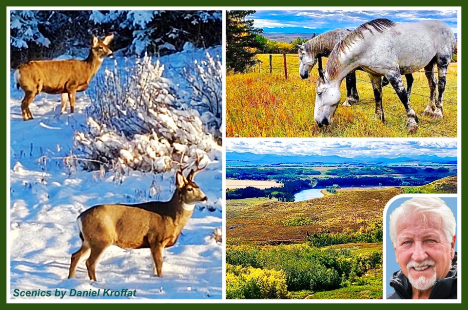 Collage-CWW211021-Kroffat-e11-9x6-frm-txt-blue