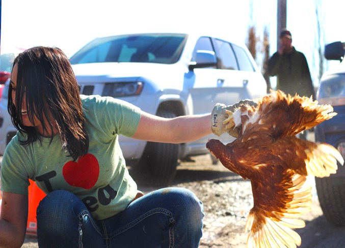 Chicken Day 2WEB