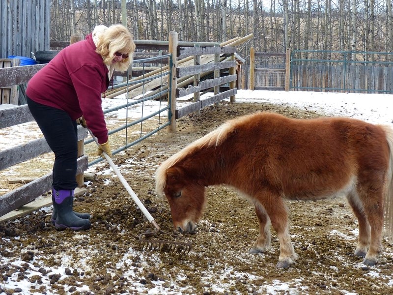 Kathleen rakes up manure, keeping her horse&#8217;s area clean.