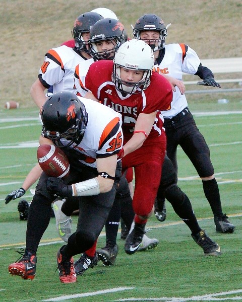 Cochrane Lions defender Cormac Scholz jars the ball loose in Calgary Area Midget Football Association play vs. Red Deer&#8217;s Prairie Fire on May 1 in Calgary. Fire downed