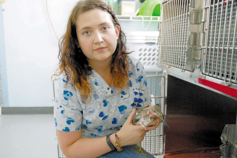 Alberta Institute of Wildlife Conservation (AIWC) executive director Holly Duvall is asking for supporters to help pay for the land the wildlife hospital has purchased in